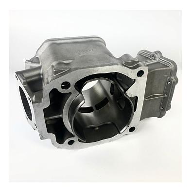 SM-09608-SL Цилиндр Sledex для Ski-Doo SM-09608 topsports_SM-09608_11