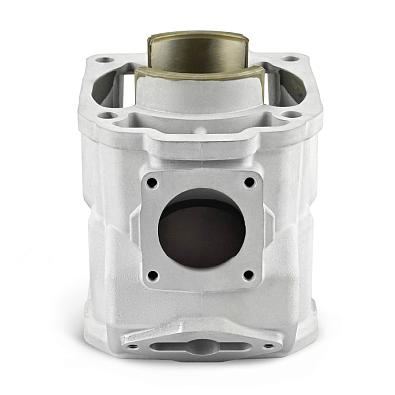 SM-09603-SL Цилиндр Sledex для Ski-Doo 600HO SDI SM-09603 topsports_SM-09603_2