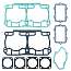 09-711302-SL Комплект прокладок (полный) для снегоходов SKI-DOO 800R P-Tek   OEM: 420892471,42089247 topsports_09-711302_2 миниатюра